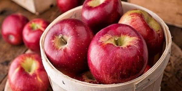 تصویر 2 از خرید سیب سرخ دماوند + قیمت فروش استثنایی